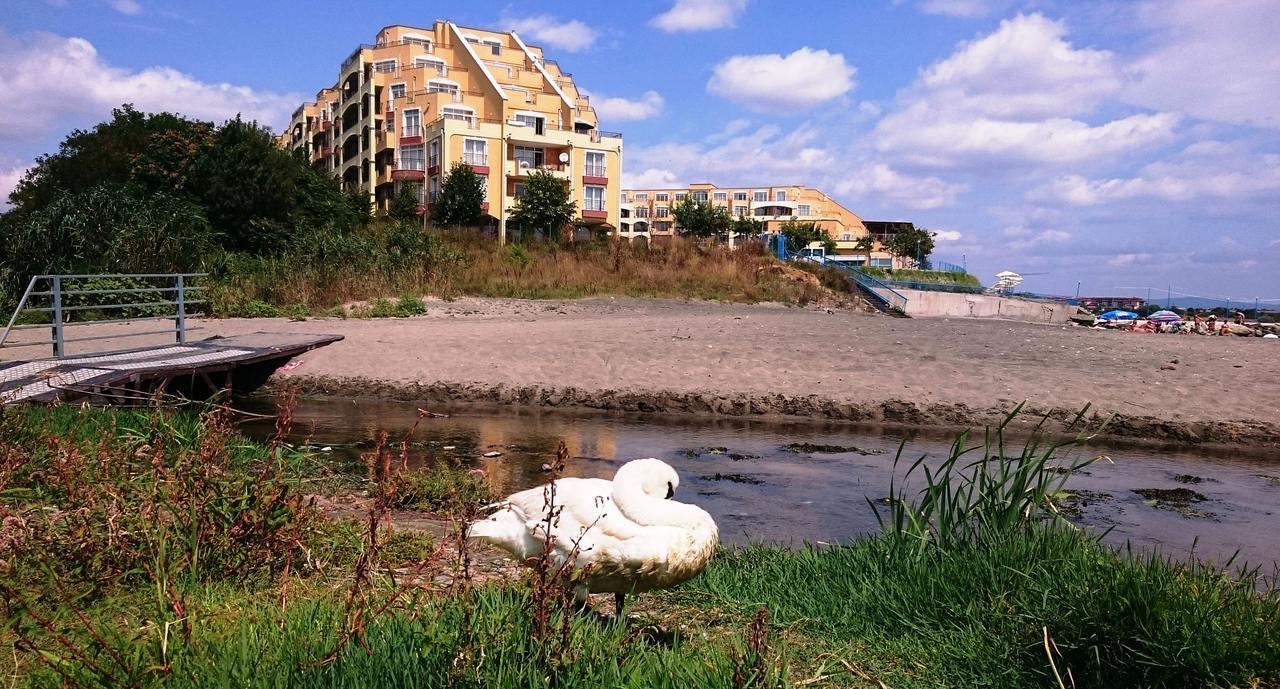 Akb Apartment Sea View Aheloy Zewnętrze zdjęcie